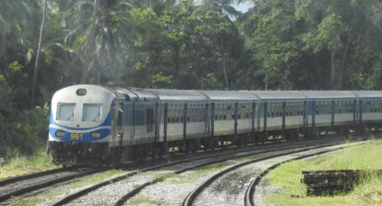 Northern Rail Halted After Derailment at Pothuhera